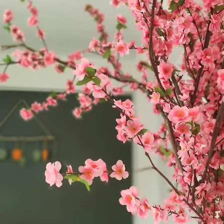 Alojamento de Acomodação e Pequeno-almoço On The Rocks Qeparo