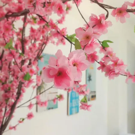 岩石之上旅馆 住宿加早餐酒店 *