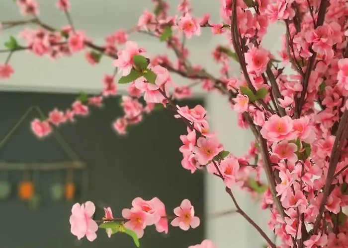 ベッド・アンド・ブレックファスト On The Rocks ケパロ