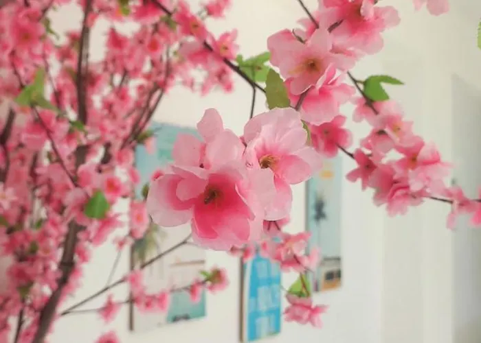 On The Rocks ベッド・アンド・ブレックファスト 3*