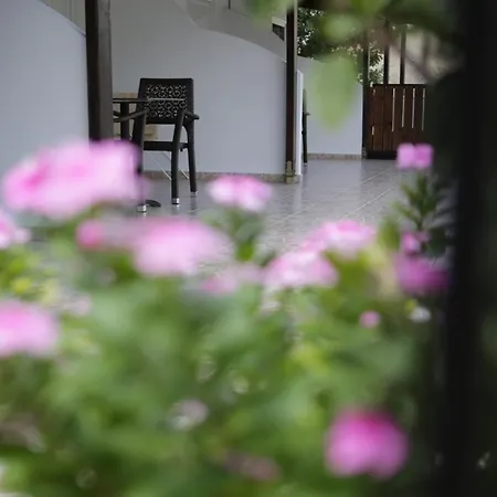 Bed & Breakfast On The Rocks Qeparo