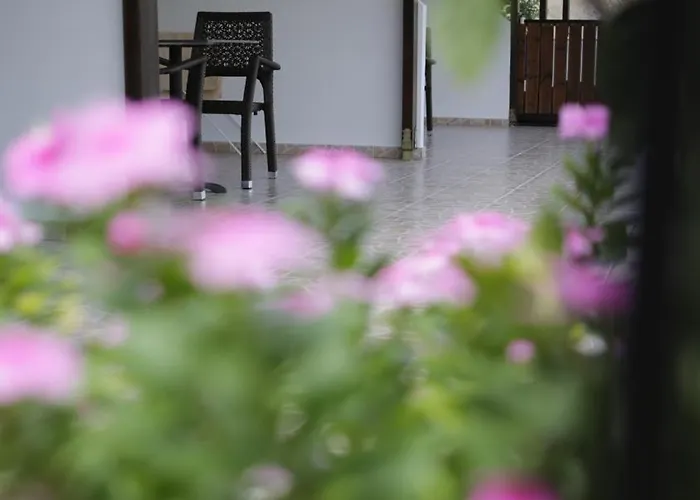 Bed & Breakfast On The Rocks Qeparo